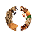 CARON CARON PERFUMES FOR MEN SAHARA BOUTIQUE - VIP