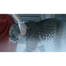 CARTIER LA PANTHÈRE Perfume & Cologne SAHARA BOUTIQUE - VIP