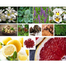 CHANEL BLEU PERFUMES FOR MEN SAHARA BOUTIQUE - VIP