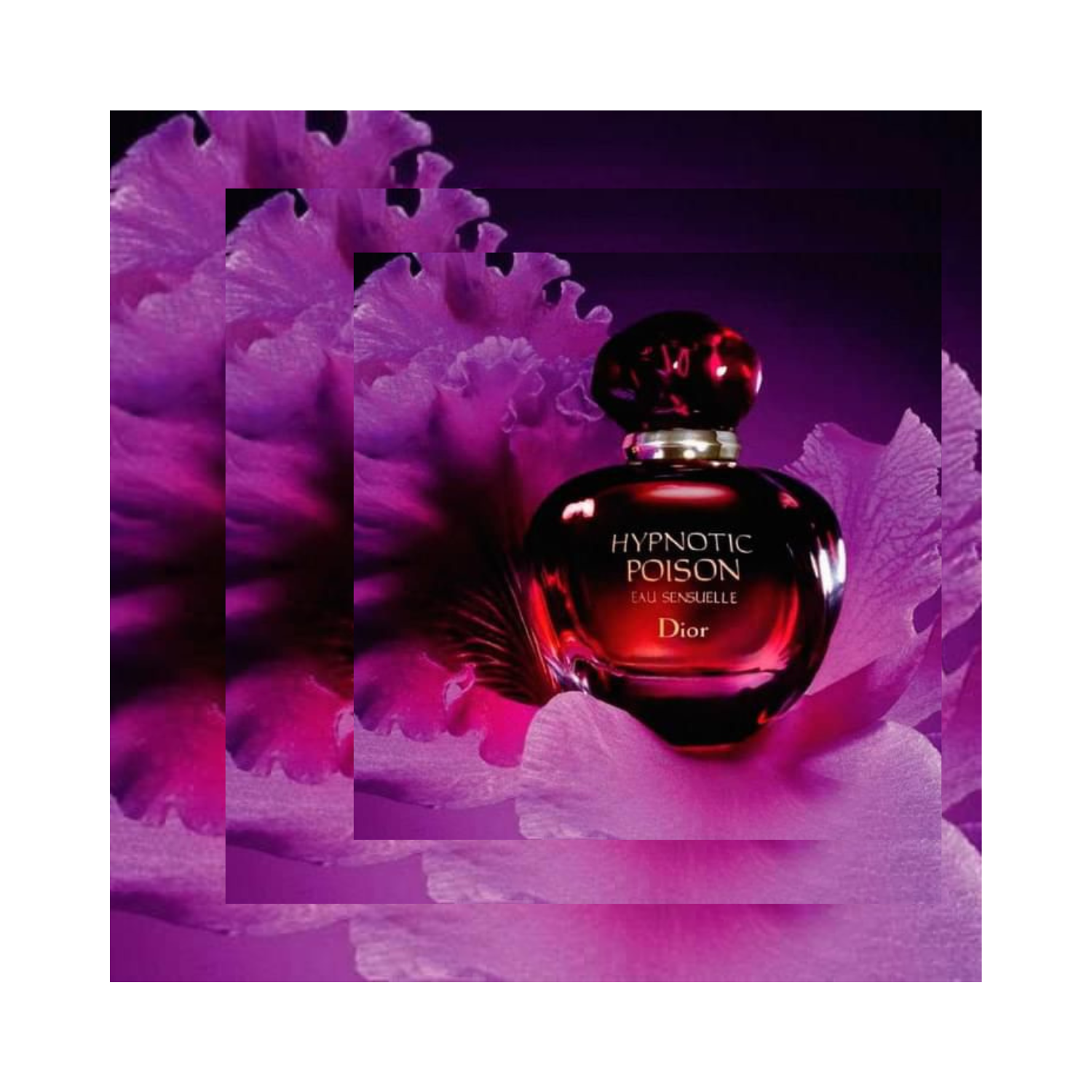 Hypnotic Poison Eau Sensuelle EDT By DIOR | SAHARA BOUTIQUE - VIP