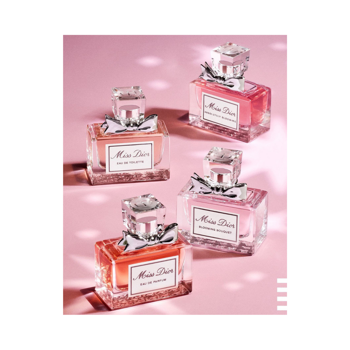 DIOR-MS.DIOR-6_1200x.png?v=