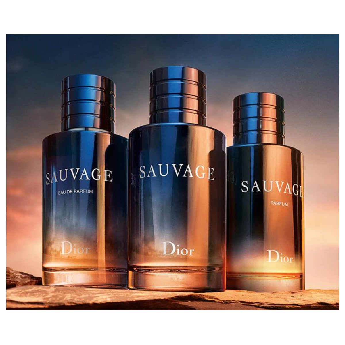 DIOR-SAUVAGE-5_1200x.png?v=