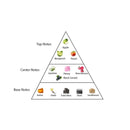 ELIZABETH ARDEN 5TH AVENUE PERFUMES FOR WOMEN SAHARA BOUTIQUE - VIP