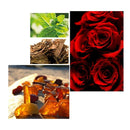 EMANUEL UNGARO DIVA PERFUMES FOR WOMEN SAHARA BOUTIQUE - VIP