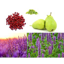 MONT BLANC EMBLEM ABSOLU PERFUMES FOR MEN SAHARA BOUTIQUE - VIP