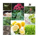 SAHARA BOUTIQUE - VIP EROS TESTER PERFUMES FOR MEN SAHARA BOUTIQUE - VIP