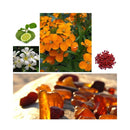 FENDI FURIOSA PERFUMES FOR WOMEN SAHARA BOUTIQUE - VIP