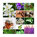 MARBERT MAN PURE PERFUMES FOR MEN SAHARA BOUTIQUE - VIP