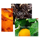 ROCHAS TOCADE PERFUMES FOR WOMEN SAHARA BOUTIQUE - VIP