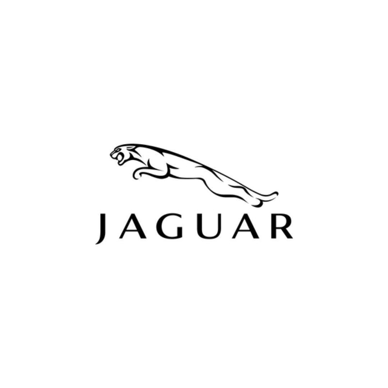 JAGUAR JAGUAR GREEN PERFUMES FOR MEN SAHARA BOUTIQUE - VIP